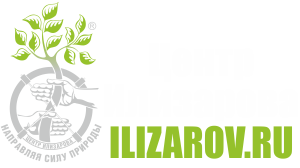 ����� ���������